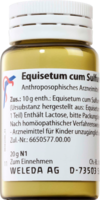 EQUISETUM CUM Sulfure tostum D 4 Trituration